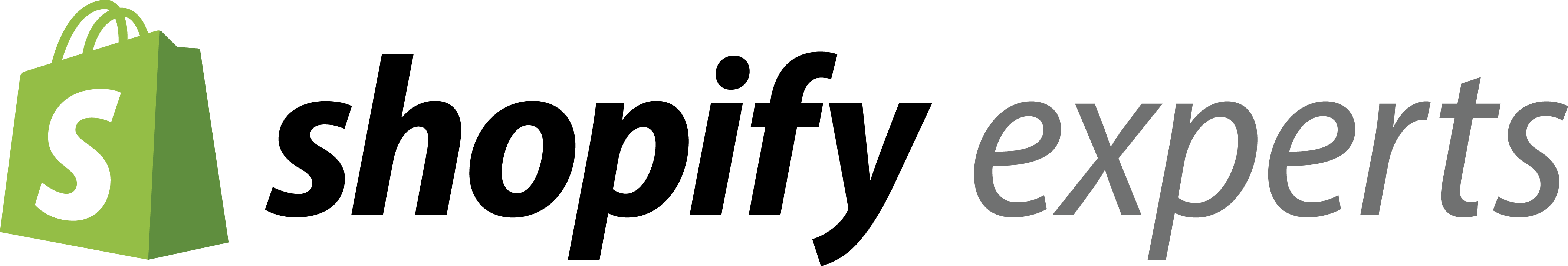 Shopify Logo